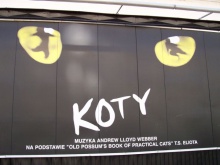 Koty